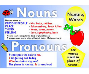 Parts of Speech-Nouns & Pronouns