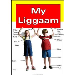 Afrikaans Plakkaat -My Liggaam-Afrikaans Poster