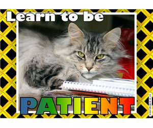Poster – Learn to be Patient