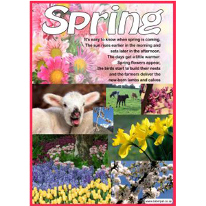 Poster -Spring