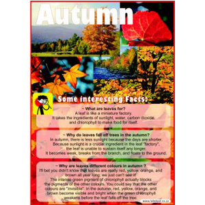 Poster Autumn