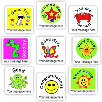 Personalised Teacher Stickers N0009 – 140 Personalised Stickers-Good try!