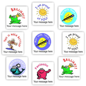 140 Personalised Stickers | Frogs, Sunshine, Pencils & Whale : Brilliant! Magnificent!