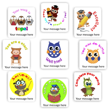 Personalised Teacher Stickers N0110 – 120 Personalised Stickers-Owls
