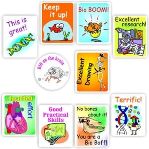 120 Stickers | Biology: DNA, Human organs, skeleton, animals