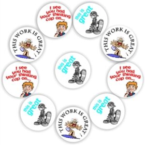 140 Teacher’s reward stickers-BoysSkate-boards & surferThis is great