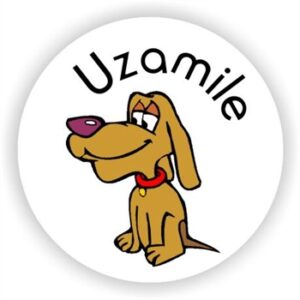 140 Isi-zulu Stickers | Uzamile (You have tried)