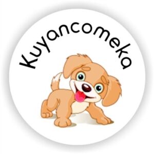 117 Isi-zulu Stickers | Kuyancomeka (Awesome)