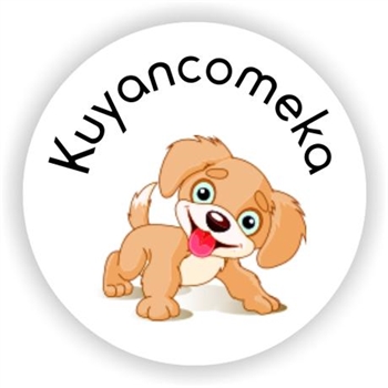 isiZulu Teacher Stickers Z0036 – 117 Zulu stickers