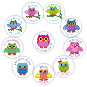 120 Teachers Reward Stickers – Colourful owls – I love this work, well done