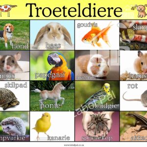 Troeteldiere -Afrikaans