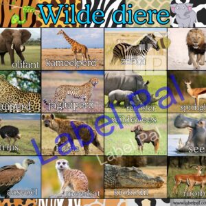 Wilde Diere-Afrikaans