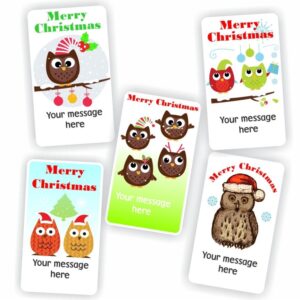 Christmas Owl Message Stickers | Owls in Santa Hats & Baubles : Merry Christmas