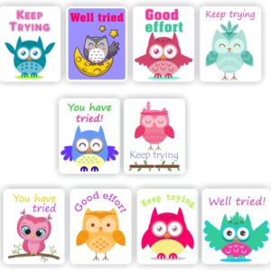 120 Teachers Reward Stickers – Cute Owls, Keep trying, well tried