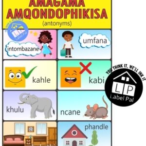 Isizulu Poster – Antonyms (Amagama Amqondophikisa)