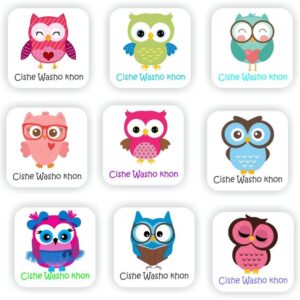 120 Isi-zulu Stickers | Cute Colourful Owls : Cishe Washo khon