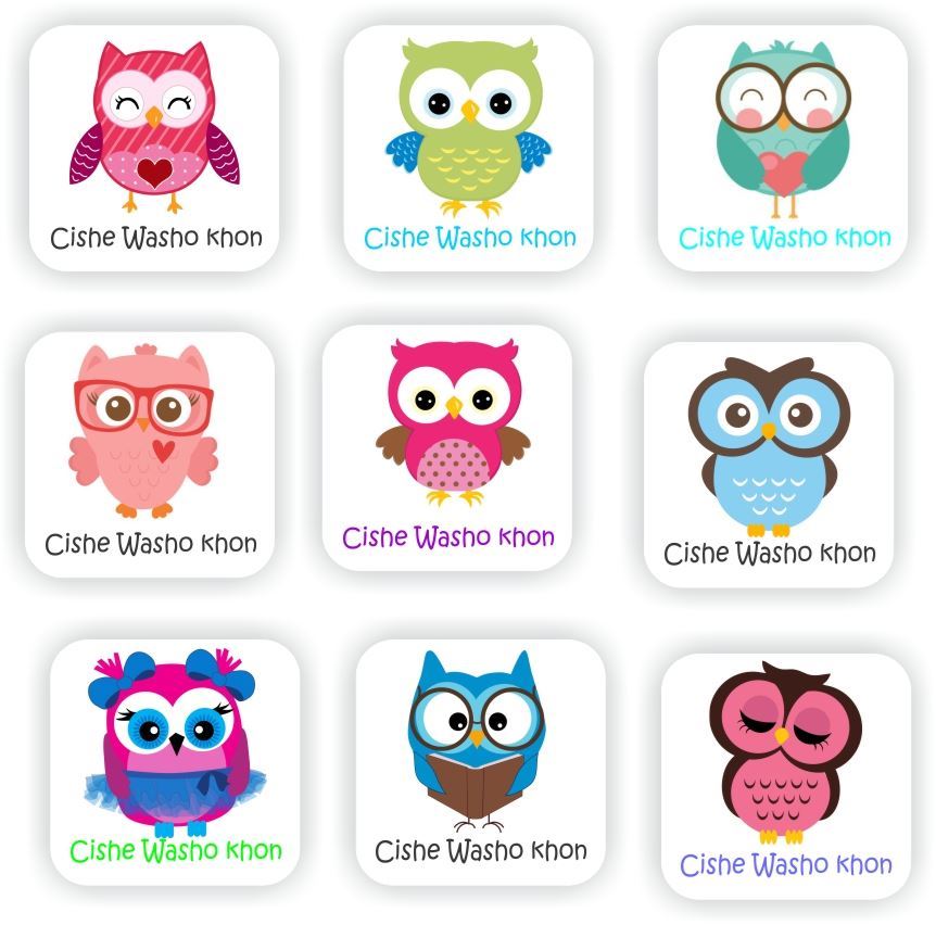 isiZulu Teacher Stickers Z0053 – 120 Zulu stickers-Cishe Washo khon-Owl
