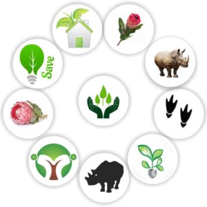 Mini Eco & Conservation Stickers | Rhino, Protea, Green Home & Leaf Bulb